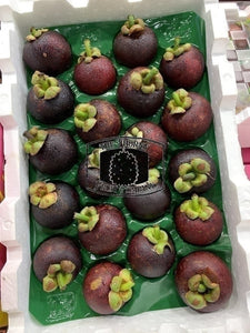 [NOT IN SEASON] Fresh QLD Purple Mangosteens. Garcinia mangostana - The Thorny Fruit Co