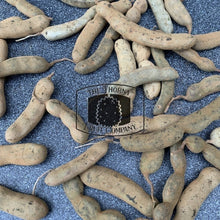 Load image into Gallery viewer, [NOT IN SEASON] Fresh Raw Tamarind - The Thorny Fruit Co