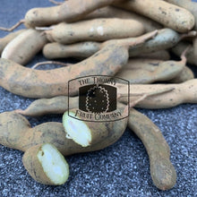 Load image into Gallery viewer, [NOT IN SEASON] Fresh Raw Tamarind - The Thorny Fruit Co