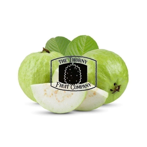[NOT IN SEASON] Jambu Batu. Jambu Biji. Jambu Klutuk. Common Guava. Psidium guajava - The Thorny Fruit Co