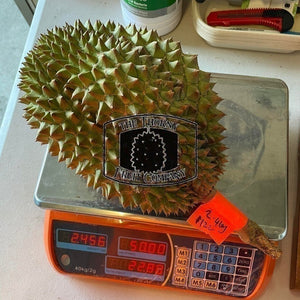[NOT IN SEASON] QLD Fresh Chanee Durian D123 - The Thorny Fruit Co
