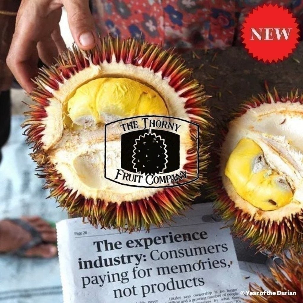 [NOT IN SEASON] QLD grown Durio Dulcis. Lahung. Tutong. Marangang. Wild Red Durian - The Thorny Fruit Co