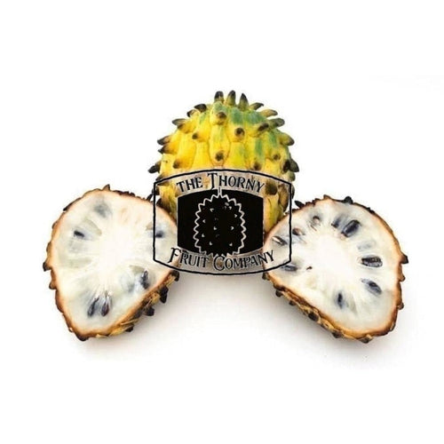 [NOT IN SEASON] QLD Rollinia. Biriba. Amazon Custard Apple. Annona mucosa - The Thorny Fruit Co