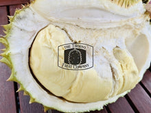 Load image into Gallery viewer, [NOT IN SEASON] QLD Zappala Tropicals Fresh Whole Durian Clones - various - The Thorny Fruit Co
