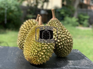 [NOT IN SEASON] QLD Zappala Tropicals Fresh Whole Durian Clones - various - The Thorny Fruit Co