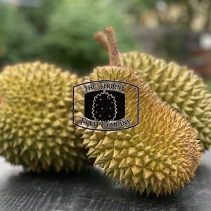 [NOT IN SEASON] QLD Zappala Tropicals Fresh Whole Durian Clones - various - The Thorny Fruit Co