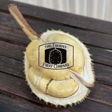 Load image into Gallery viewer, [NOT IN SEASON] QLD Zappala Tropicals Fresh Whole Durian Clones - various - The Thorny Fruit Co