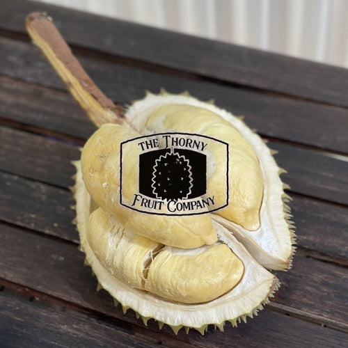 [NOT IN SEASON] QLD Zappala Tropicals Fresh Whole Durian Clones - various - The Thorny Fruit Co