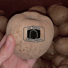 Load image into Gallery viewer, [NOT IN SEASON] Sapodilla. Ciku. Chico. Chikoo. Sapote. Sawo. Manilkara zapota - The Thorny Fruit Co