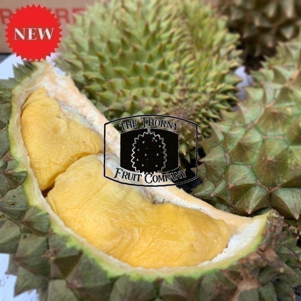 Doerian Musang King Durian Price Drops 40%, Malaysia Launches 2 New