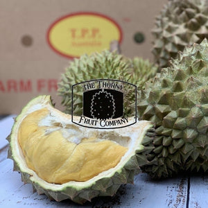 [NOT IN SEASON] Tropical Primary Products Fresh Durian - HEW1 Kangaroo King - The Thorny Fruit Co