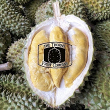 Load image into Gallery viewer, [NOT IN SEASON] Tropical Primary Products Fresh Whole Durian - Darwin Durian Kampung - The Thorny Fruit Co