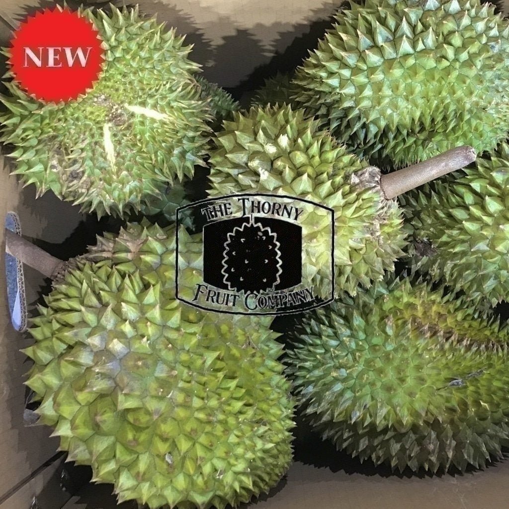 [NOT IN SEASON] Tropical Primary Products Fresh Whole Durian - Darwin Durian Kampung - The Thorny Fruit Co