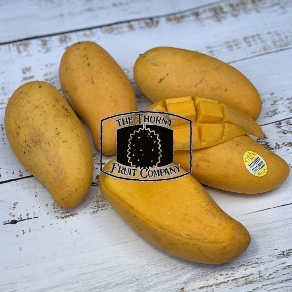 [NOT IN SEASON] Tropical Primary Products TPP1 Mango – The Thorny Fruit Co
