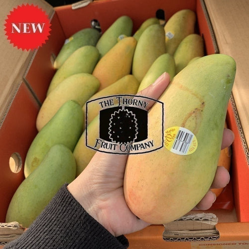 [NOT IN SEASON] Tropical Primary Products TPP1 Mango - The Thorny Fruit Co