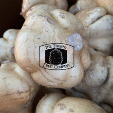Load image into Gallery viewer, [NOT IN SEASON] Yam Bean. Jicama. Sengkuang. Singkamas. Pachyrhizus erosus - The Thorny Fruit Co