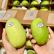 Load image into Gallery viewer, [PRE-ORDER] Air-Flown Fresh Philippine Carabao Mango - The Thorny Fruit Co