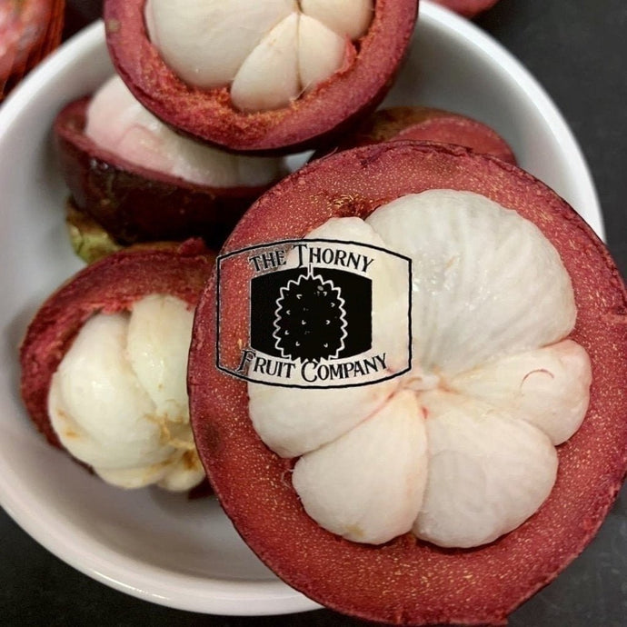[PRE-ORDER] Air-Flown Fresh Thai Mangosteens - The Thorny Fruit Co