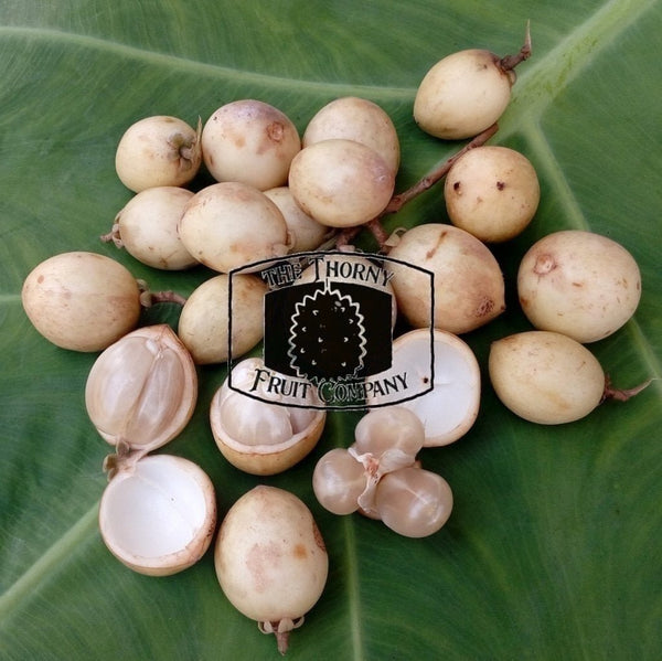 Buah Rambai