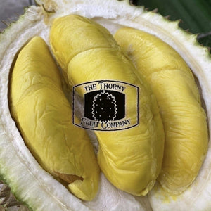 [PRE-ORDER] Duria Australia Frozen Whole Musang King Durian D197 - The Thorny Fruit Co