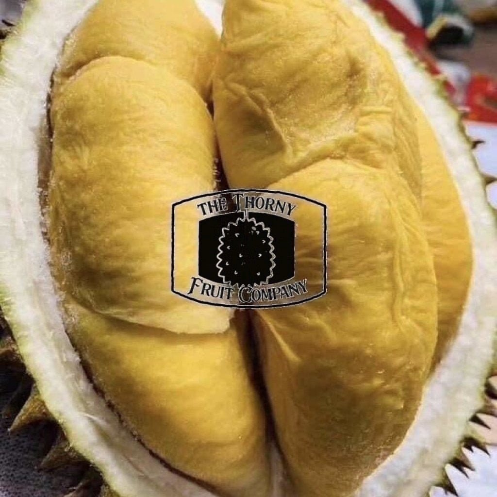 Duria Australia Frozen Whole Musang King Durian D197 – The Thorny Fruit Co