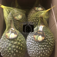 Load image into Gallery viewer, [PRE-ORDER] Duria Australia Frozen Whole Musang King Durian D197 - The Thorny Fruit Co