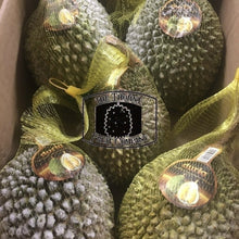 Load image into Gallery viewer, [PRE-ORDER] Duria Australia Frozen Whole Musang King Durian D197 - The Thorny Fruit Co