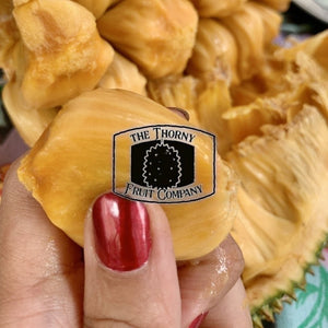 [PRE-ORDER] Fresh Australian Cempedak. Chempedak. Artocarpus Integer - The Thorny Fruit Co