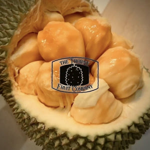 [PRE-ORDER] Fresh Australian Cempedak. Chempedak. Artocarpus Integer - The Thorny Fruit Co