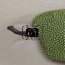 Load image into Gallery viewer, [PRE-ORDER] Fresh Australian Cempedak. Chempedak. Artocarpus Integer - The Thorny Fruit Co