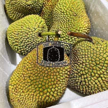 Load image into Gallery viewer, [PRE-ORDER] Fresh Australian Cempedak. Chempedak. Artocarpus Integer - The Thorny Fruit Co