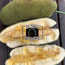 Load image into Gallery viewer, [PRE-ORDER] Fresh Australian Cempedak. Chempedak. Artocarpus Integer - The Thorny Fruit Co
