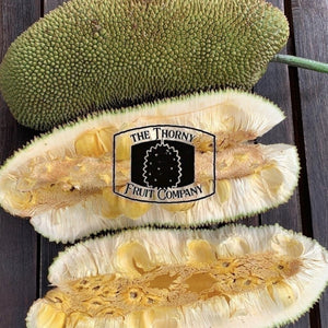 [PRE-ORDER] Fresh Australian Cempedak. Chempedak. Artocarpus Integer - The Thorny Fruit Co