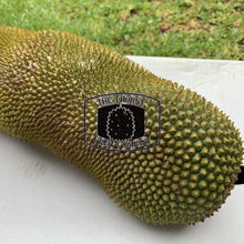 Load image into Gallery viewer, [PRE-ORDER] Fresh Australian Cempedak. Chempedak. Artocarpus Integer - The Thorny Fruit Co