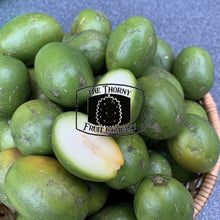 Load image into Gallery viewer, [PRE-ORDER] Fresh Hogs Plum. Kedondong. Ambarella - The Thorny Fruit Co