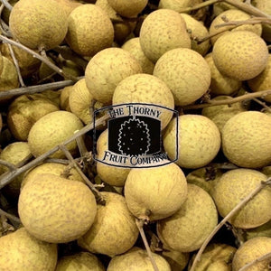 [PRE-ORDER] Fresh QLD Longan. Dimocarpus longan - The Thorny Fruit Co