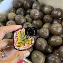 Load image into Gallery viewer, [PRE-ORDER] Passionfruit. Markisa. Passiflora edulis - The Thorny Fruit Co