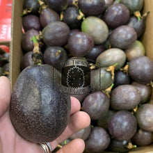 Load image into Gallery viewer, [PRE-ORDER] Passionfruit. Markisa. Passiflora edulis - The Thorny Fruit Co