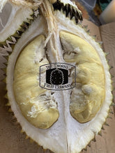 Load image into Gallery viewer, [PRE-ORDER] QLD Fresh Durian Seedling. Australian Kampung Durian - The Thorny Fruit Co