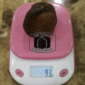 Salak Madu Frozen Whole Fruit. Palm Fruit. Snakefruit - The Thorny Fruit Co