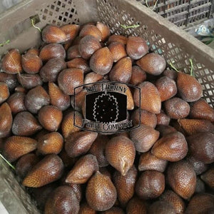 Salak Madu Frozen Whole Fruit. Palm Fruit. Snakefruit - The Thorny Fruit Co