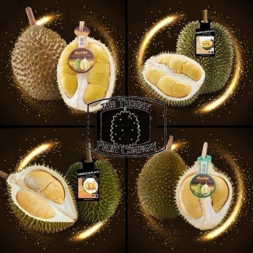 [SOLD OUT] Duria Australia Frozen Whole Durian Tasting Combo Pack + FREE Honey Jackfruit - The Thorny Fruit Co