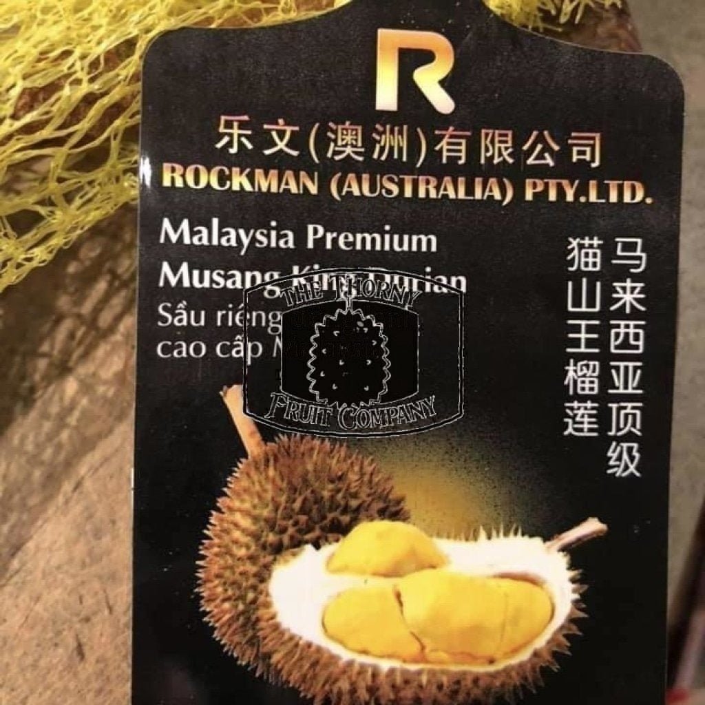 [SOLD OUT] Rockman Premium Frozen Whole Musang King D197 - The Thorny Fruit Co