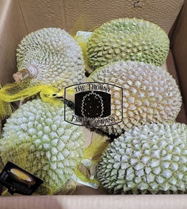 [SOLD OUT] Rockman Premium Frozen Whole Musang King D197 - The Thorny Fruit Co