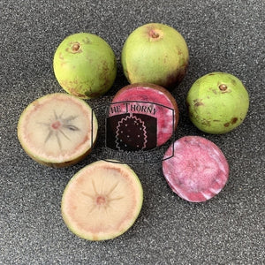 Star Apple. Milk Fruit. Caimito. Sawo Duren. - The Thorny Fruit Co